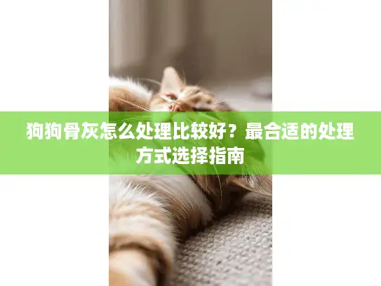 狗狗骨灰怎么处理比较好？最合适的处理方式选择指南