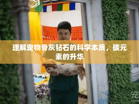 理解宠物骨灰钻石的科学本质，碳元素的升华