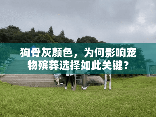 狗骨灰颜色，为何影响宠物殡葬选择如此关键？