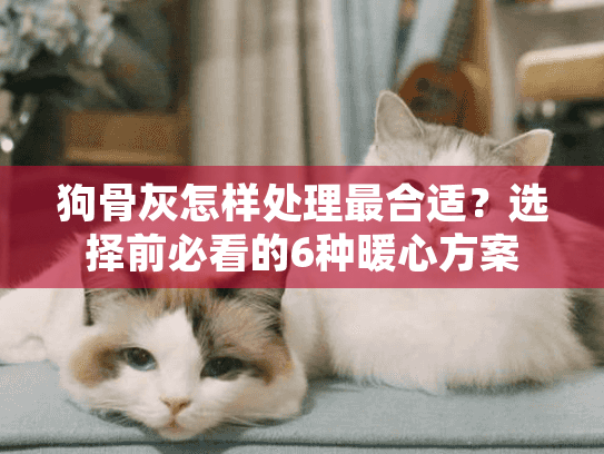 狗骨灰怎样处理最合适？选择前必看的6种暖心方案