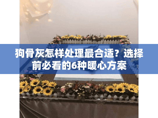 狗骨灰怎样处理最合适？选择前必看的6种暖心方案