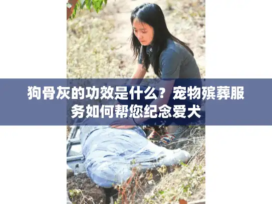 狗骨灰的功效是什么？宠物殡葬服务如何帮您纪念爱犬