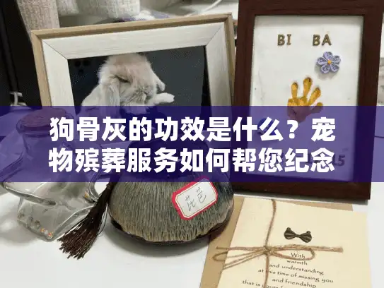 狗骨灰的功效是什么？宠物殡葬服务如何帮您纪念爱犬