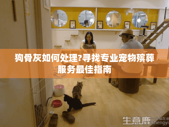 狗骨灰如何处理?寻找专业宠物殡葬服务最佳指南