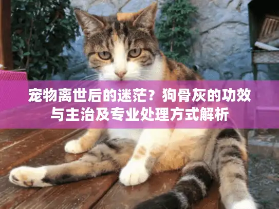 宠物离世后的迷茫?狗骨灰的功效与主治及专业处理方式解析 宠物离世后的迷茫?狗骨灰的功效与主治及专业处理方式解析