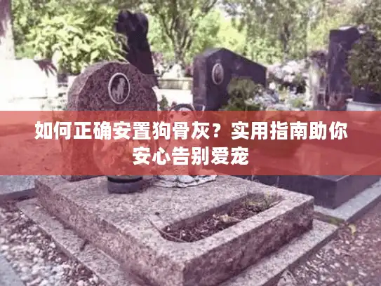 如何正确安置狗骨灰？实用指南助你安心告别爱宠