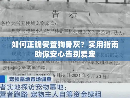 如何正确安置狗骨灰？实用指南助你安心告别爱宠
