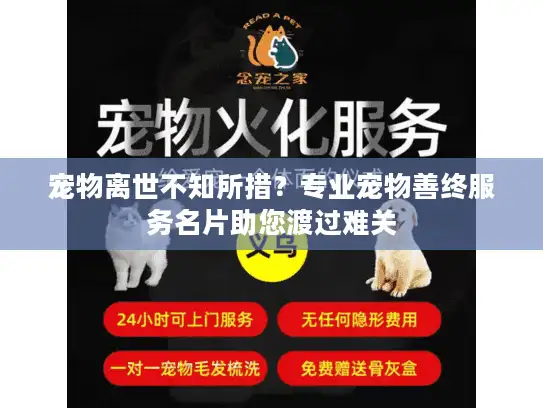 宠物离世不知所措?专业宠物善终服务名片助您渡过难关 宠物离世不知所措?专业宠物善终服务名片助您渡过难关
