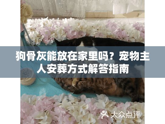 狗骨灰能放在家里吗？宠物主人安葬方式解答指南