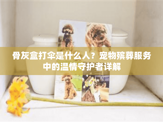 骨灰盒打伞是什么人？宠物殡葬服务中的温情守护者详解