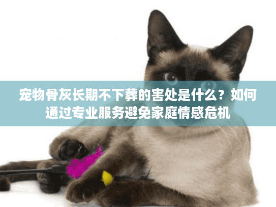 宠物骨灰长期不下葬的害处是什么？如何通过专业服务避免家庭情感危机