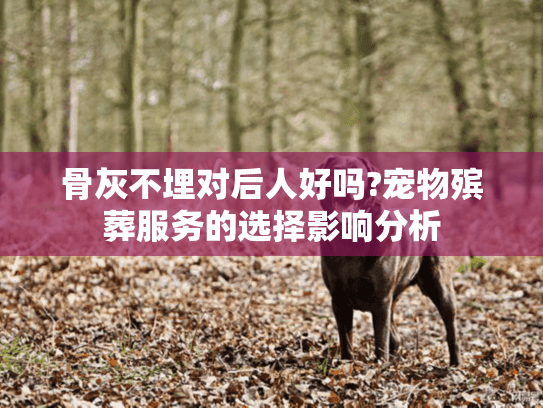 骨灰不埋对后人好吗?宠物殡葬服务的选择影响分析