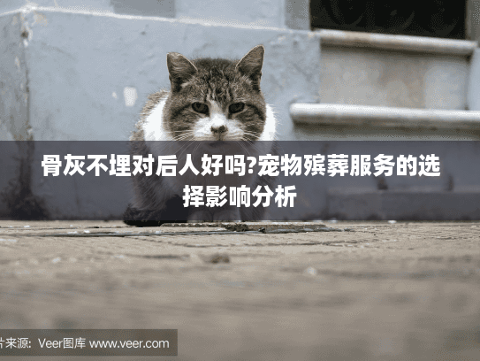 骨灰不埋对后人好吗?宠物殡葬服务的选择影响分析