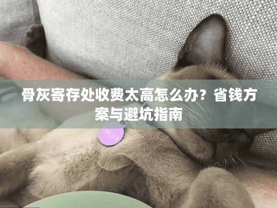 骨灰寄存处收费太高怎么办?省钱方案与避坑指南 骨灰寄存处收费太高怎么办?省钱方案与避坑指南