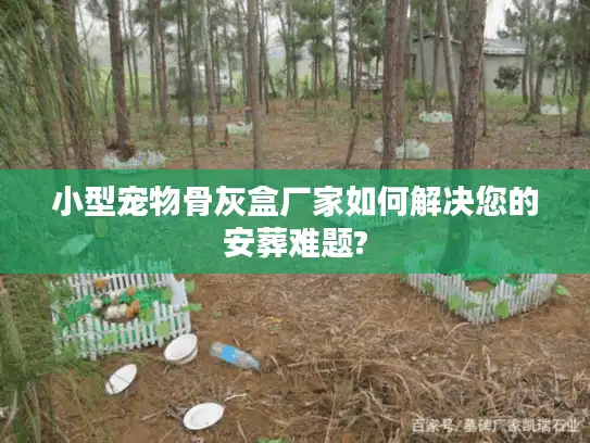 小型宠物骨灰盒厂家如何解决您的安葬难题?