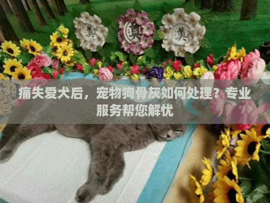 痛失爱犬后，宠物狗骨灰如何处理？专业服务帮您解忧