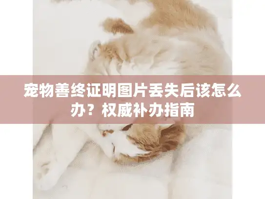 宠物善终证明图片丢失后该怎么办？权威补办指南