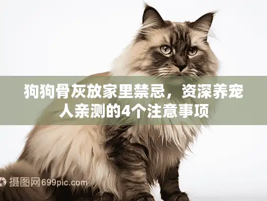狗狗骨灰放家里禁忌，资深养宠人亲测的4个注意事项