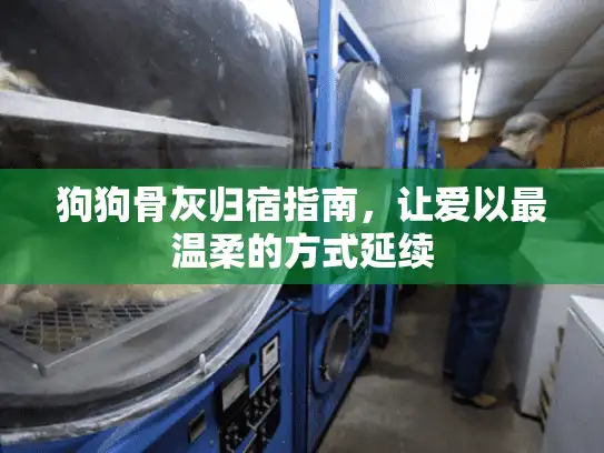 狗狗骨灰归宿指南，让爱以最温柔的方式延续