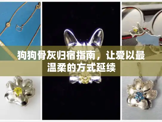 狗狗骨灰归宿指南，让爱以最温柔的方式延续