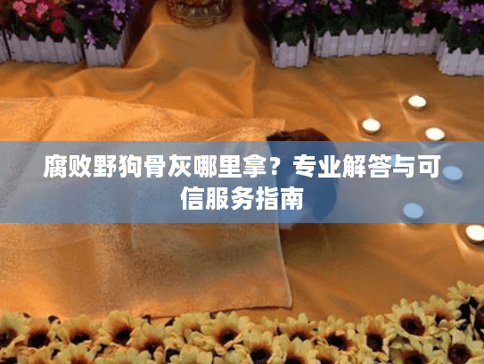 腐败野狗骨灰哪里拿？专业解答与可信服务指南