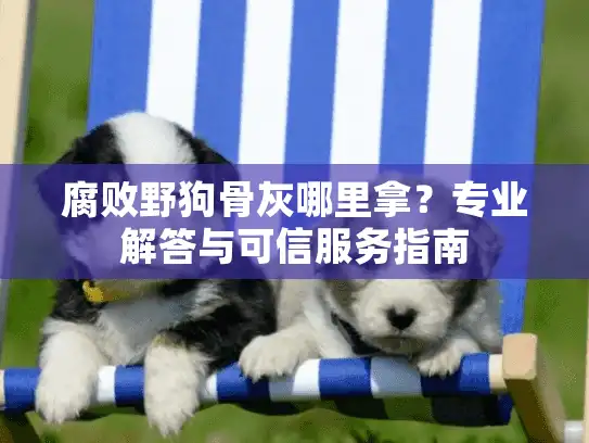 腐败野狗骨灰哪里拿？专业解答与可信服务指南
