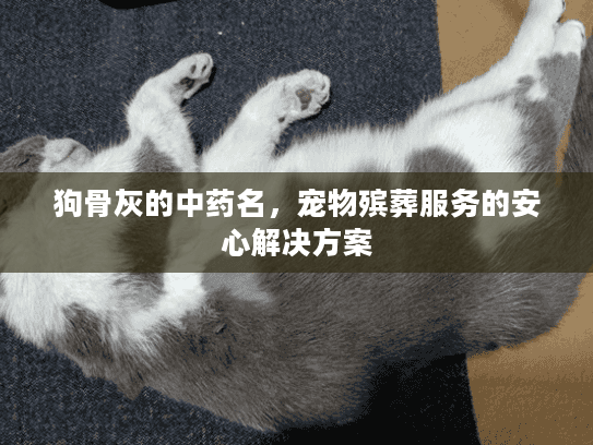 狗骨灰的中药名，宠物殡葬服务的安心解决方案