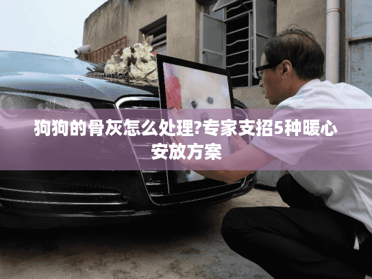 狗狗的骨灰怎么处理?专家支招5种暖心安放方案
