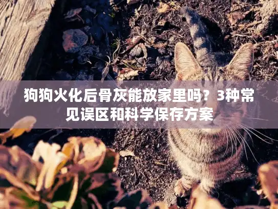 狗狗火化后骨灰能放家里吗？3种常见误区和科学保存方案