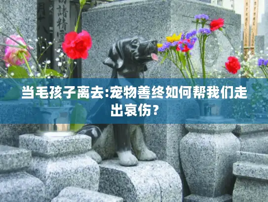 当毛孩子离去:宠物善终如何帮我们走出哀伤? 当毛孩子离去:宠物善终如何帮我们走出哀伤?