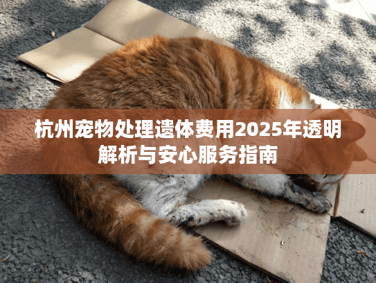 杭州宠物处理遗体费用2025年透明解析与安心服务指南