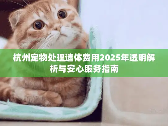 杭州宠物处理遗体费用2025年透明解析与安心服务指南