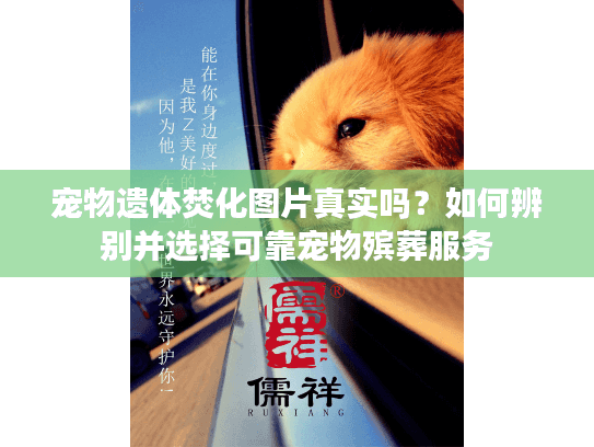 宠物遗体焚化图片真实吗？如何辨别并选择可靠宠物殡葬服务