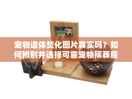 宠物遗体焚化图片真实吗？如何辨别并选择可靠宠物殡葬服务