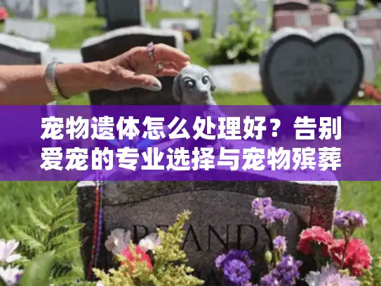 宠物遗体怎么处理好？告别爱宠的专业选择与宠物殡葬服务指南