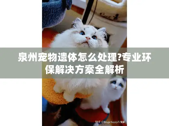 泉州宠物遗体怎么处理?专业环保解决方案全解析