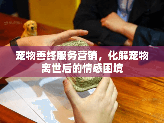 宠物善终服务营销，化解宠物离世后的情感困境