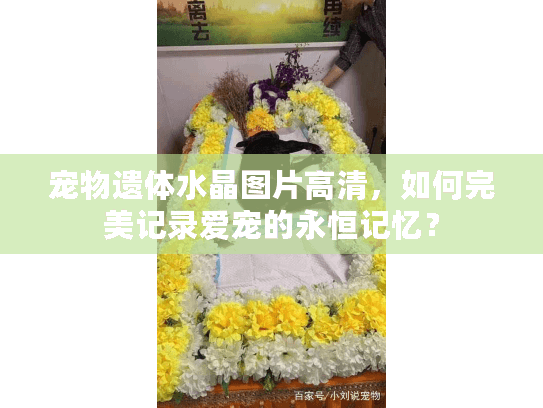 宠物遗体水晶图片高清，如何完美记录爱宠的永恒记忆？