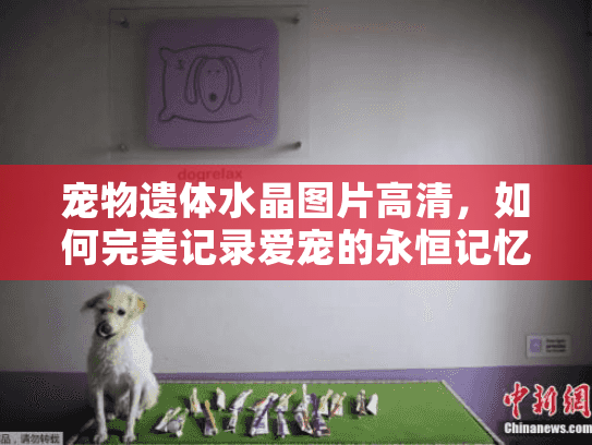宠物遗体水晶图片高清，如何完美记录爱宠的永恒记忆？