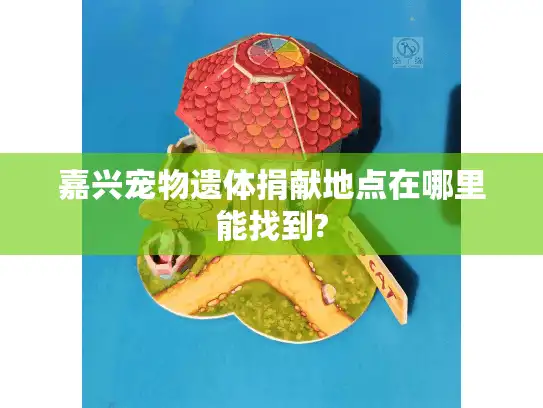 嘉兴宠物遗体捐献地点在哪里能找到?