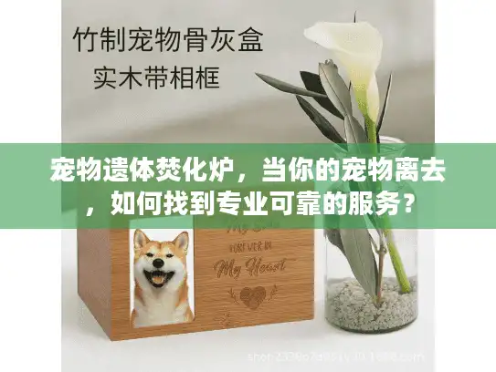 宠物遗体焚化炉，当你的宠物离去，如何找到专业可靠的服务？