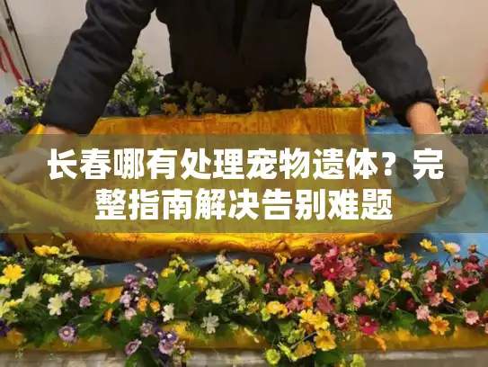长春哪有处理宠物遗体？完整指南解决告别难题