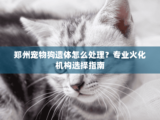 郑州宠物狗遗体怎么处理？专业火化机构选择指南