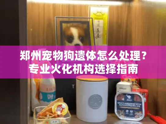 郑州宠物狗遗体怎么处理？专业火化机构选择指南