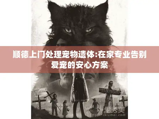 顺德上门处理宠物遗体:在家专业告别爱宠的安心方案