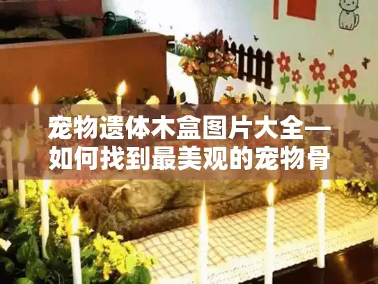 宠物遗体木盒图片大全—如何找到最美观的宠物骨灰盒选择?