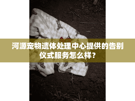 河源宠物遗体处理中心提供的告别仪式服务怎么样？
