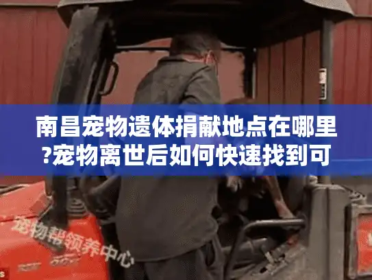 南昌宠物遗体捐献地点在哪里?宠物离世后如何快速找到可靠捐献服务点