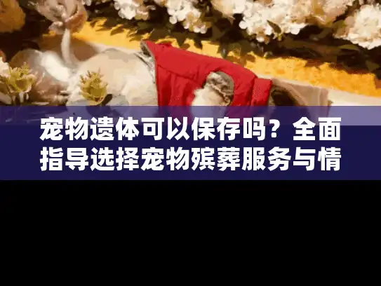 宠物遗体可以保存吗？全面指导选择宠物殡葬服务与情感安抚方案