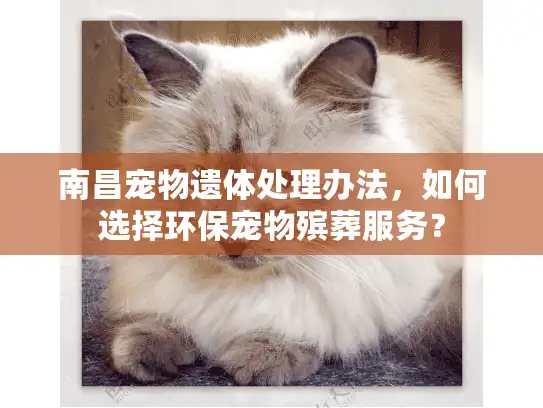 南昌宠物遗体处理办法，如何选择环保宠物殡葬服务？